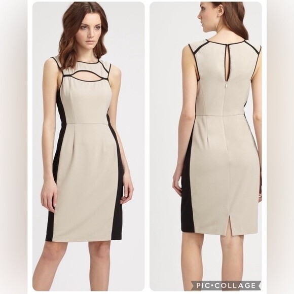 BCBGMaxaria Kelsee Pale Grey and Black Colorblock Cut- out Dress Sz 2 - Picture 1 of 5